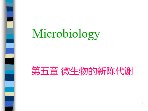 大学课程微生物第五章 微生物的代谢课件