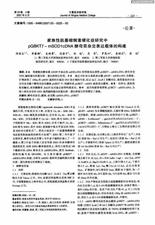 家族性肌萎缩侧索硬化症研究中pGBKT7-mSOD1cDNA酵母双杂交表达载体的构建