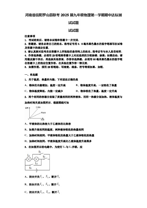 河南省信阳罗山县联考2025届九年级物理第一学期期中达标测试试题含解析
