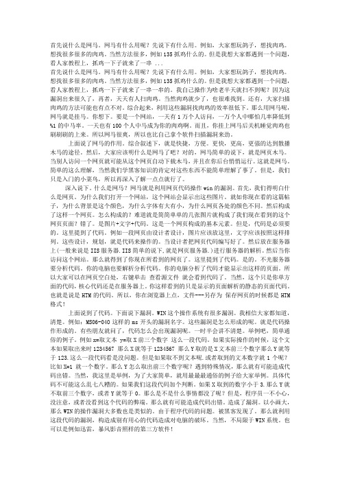 什么是网马,怎么制作网马,怎么挂马