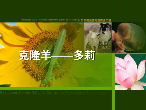 9.克隆羊——多莉
