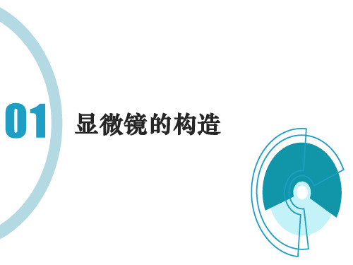 普通光学显微镜的使用和维护 光学显微镜的构造和使用