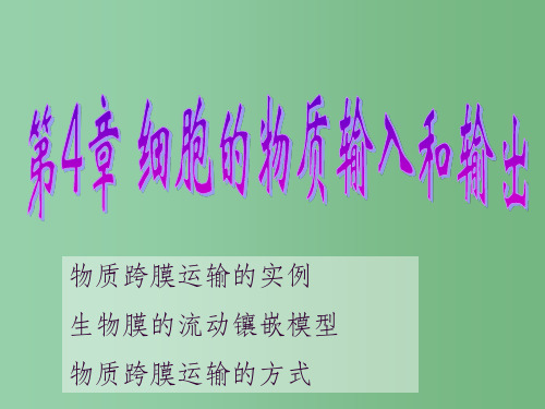 高中生物 4.1物质跨膜运输的实例课件1 新人教版必修1