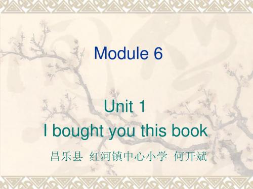 教育部参赛_I bought you this book课件_何开斌