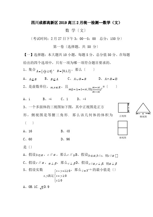 四川成都高新区2019高三2月统一检测--数学(文)