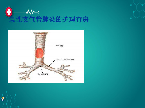 小儿急性支气管炎的护理查房ppt课件