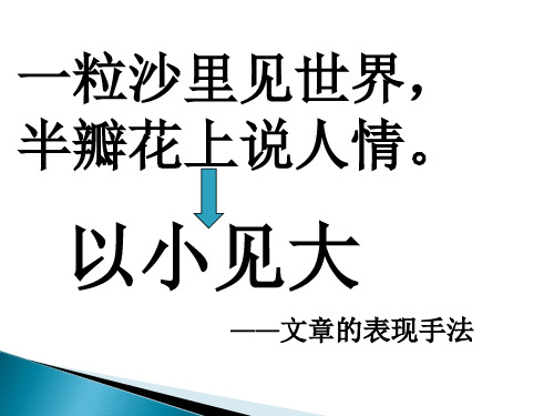 以小见大表现手法