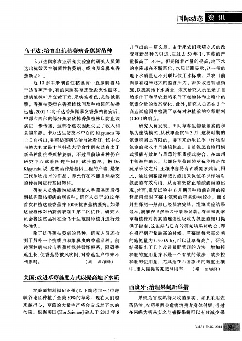 乌干达:培育出抗枯萎病香蕉新品种