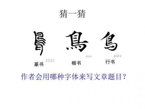 七年级  18  鸟(人教版七年级上)PPT