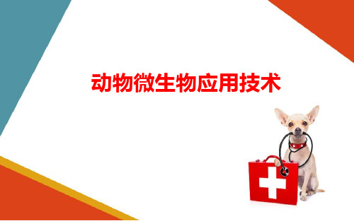 细菌及细菌类疾病的实验室诊断—动物细菌病的实验室诊断方法(动物微生物技术课件)