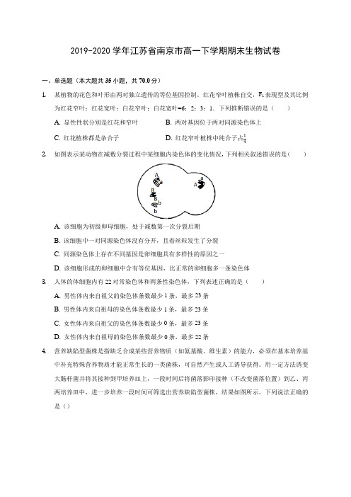 2019-2020学年江苏省南京市高一下学期期末生物试卷(含答案解析)