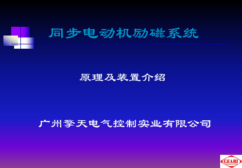 同步电动机励磁系统培训PPT课件