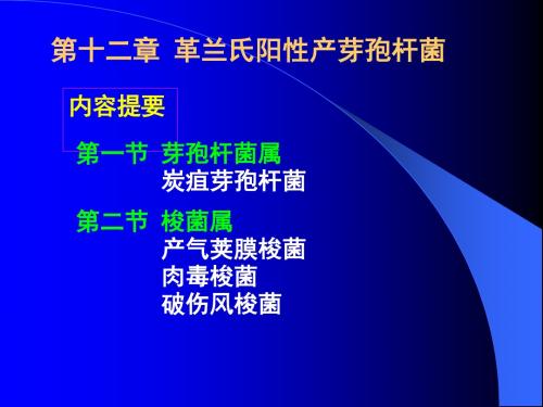 13第十二章革兰氏阳性产芽孢杆菌