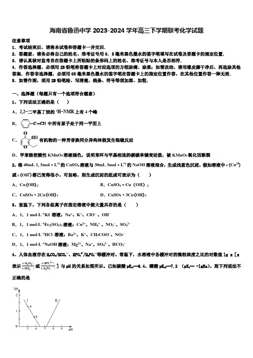 海南省鲁迅中学2023-2024学年高三下学期联考化学试题含解析