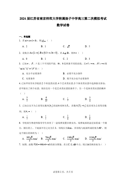 2024届江苏省南京师范大学附属扬子中学高三第二次模拟考试数学试卷