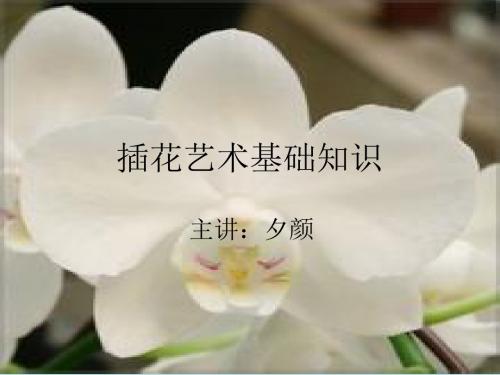 艺术插花基础知识学习