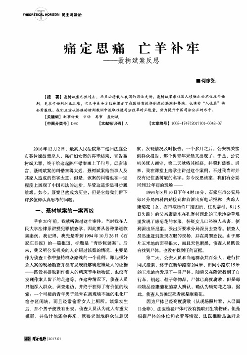 痛定思痛 亡羊补牢——聂树斌案反思