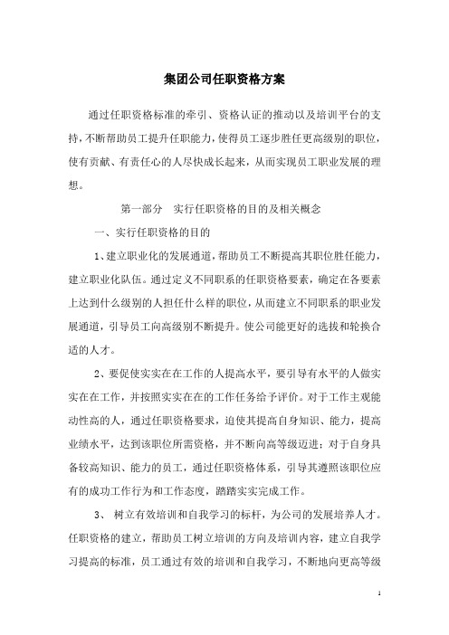 集团公司任职资格方案