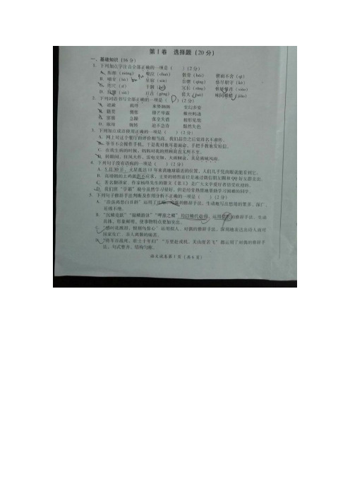 四川省宜宾市2016年中考语文试题