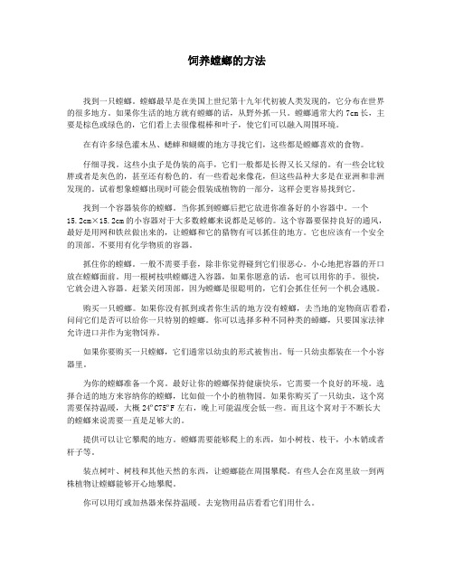 饲养螳螂的方法