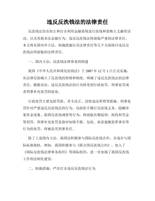 违反反洗钱法的法律责任