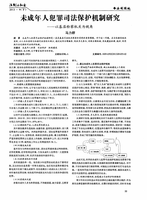 未成年人犯罪司法保护机制研究——以基层检察机关为视角