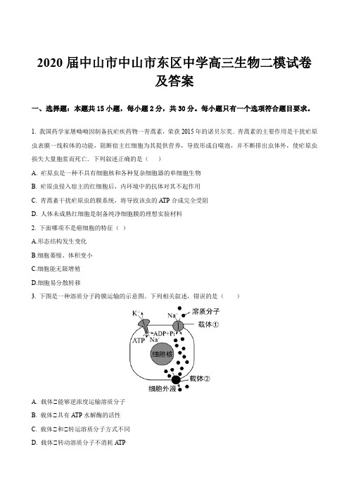 2020届中山市中山市东区中学高三生物二模试卷及答案