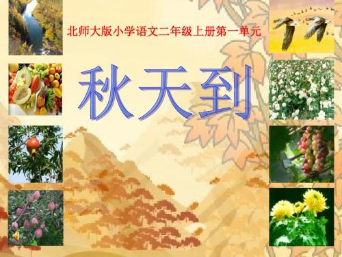 《秋天到》 精品PPT课件3(共29张)