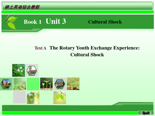 研究生综合英语book_1_unit_3_Cultural_Shock