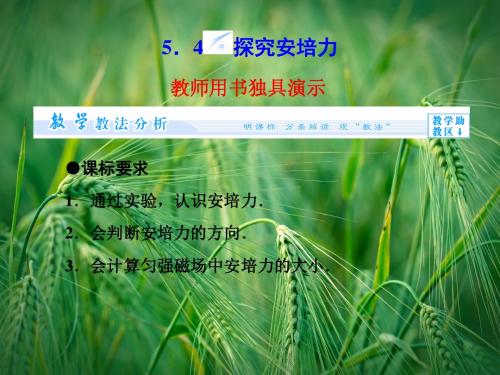 5.4 探究安培力同步备课课件 沪科版选修3-1课件