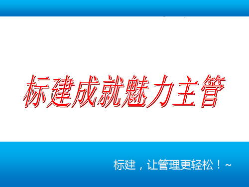 团队精英分析案例创建标准化营销团队方案及措施(PPT 50页)