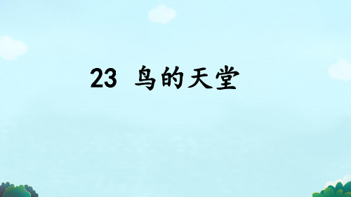 23 鸟的天堂 课件(共40张PPT).ppt