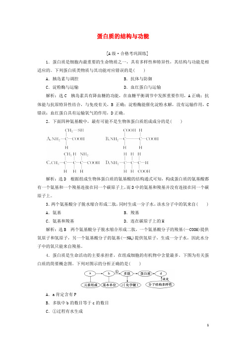 高中生物课时检测4蛋白质的结构与功能苏教版必修1