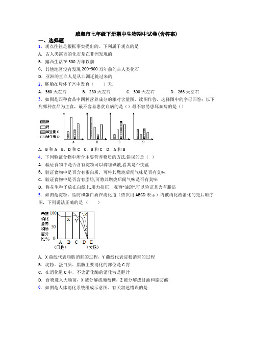 威海市七年级下册期中生物期中试卷(含答案)