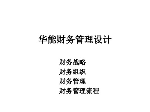 华能国际贸易有限公司财务管理模式模板