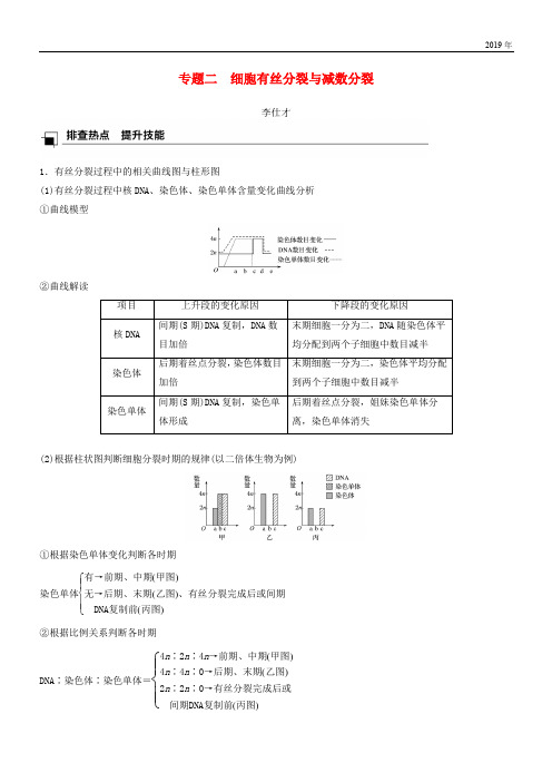 2020高考生物专题复习 专题二 细胞有丝分裂与减数分裂学案(含解析)