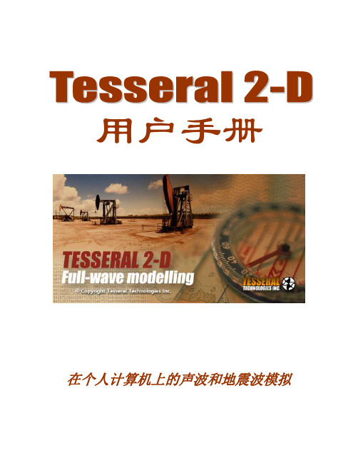 Tesseral 2-D 全波场模拟用户手册.