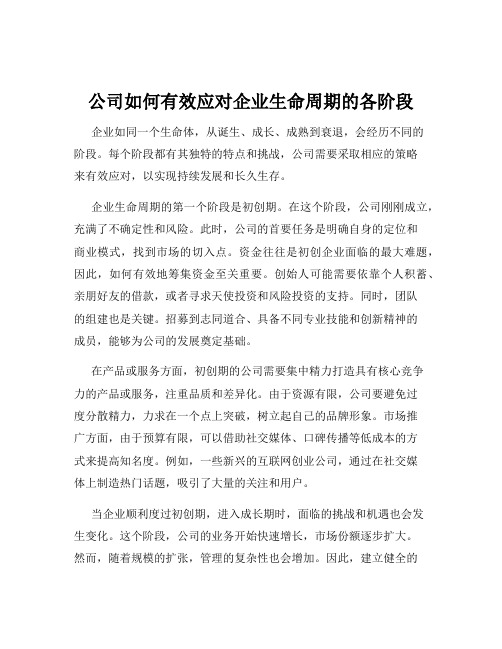 公司如何有效应对企业生命周期的各阶段