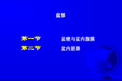 盆部断层解剖