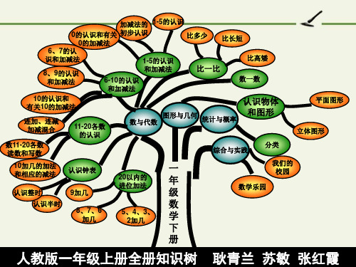 一年级上册知识树-完整版PPT课件