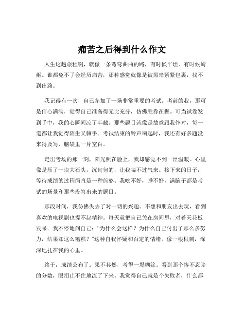 痛苦之后得到什么作文