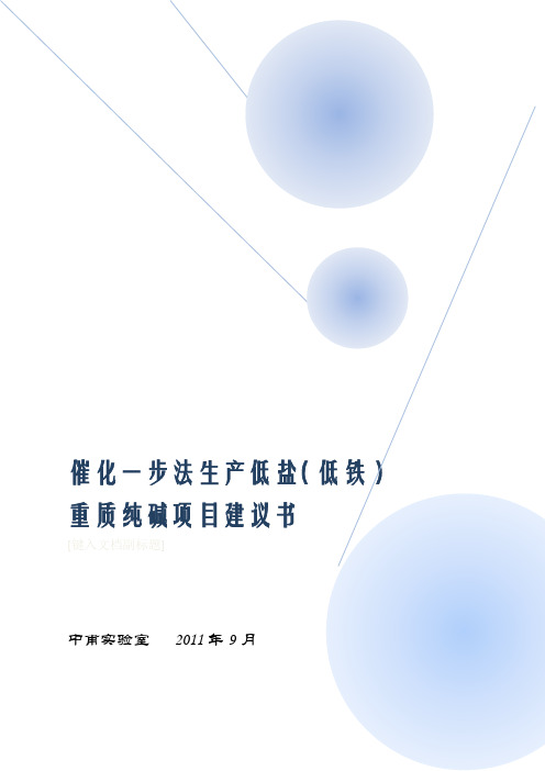 重庆新建2万吨低盐重质纯碱简略可行性报告