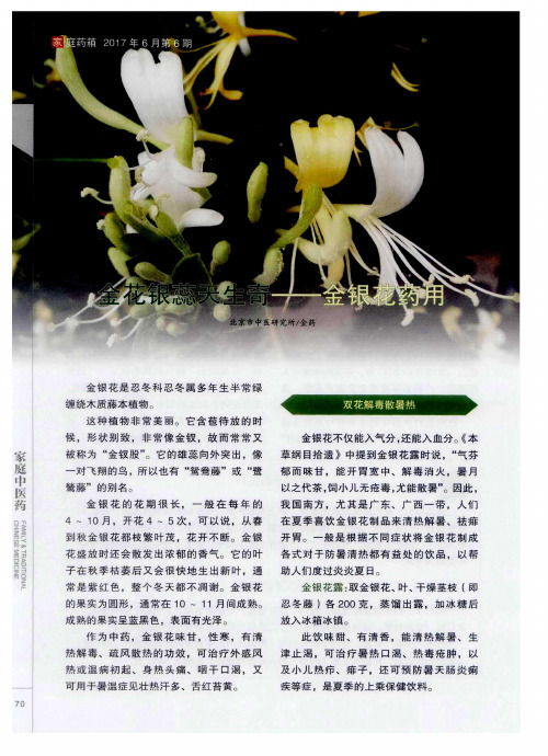 金花银蕊天生奇——金银花药用