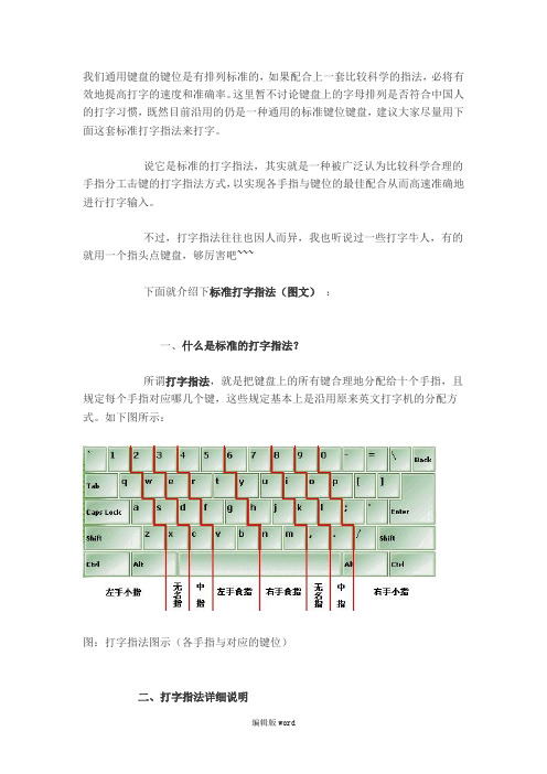 快速打字正确的标准指法(附图)