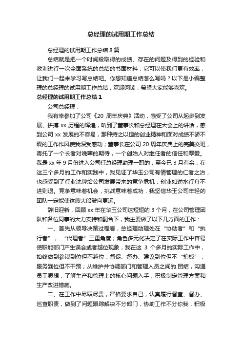 总经理的试用期工作总结