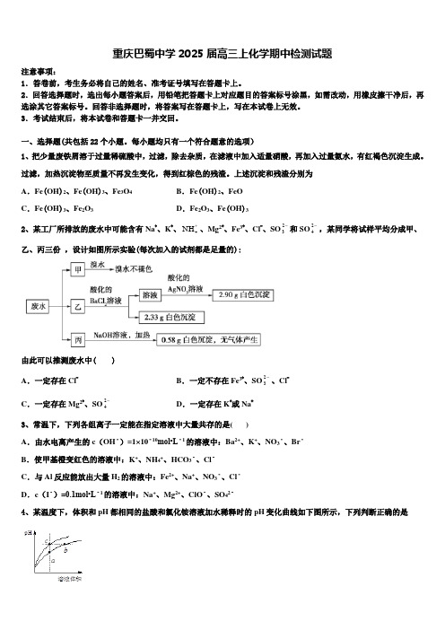 重庆巴蜀中学2025届高三上化学期中检测试题含解析