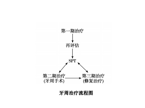 牙 周 病 学 第四版 11