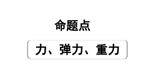 2024长沙中考物理二轮专题复习 中考命题点 力、弹力、重力(课件)