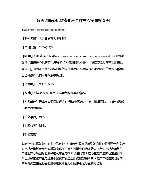 超声诊断心肌致密化不全伴左心室血栓1例