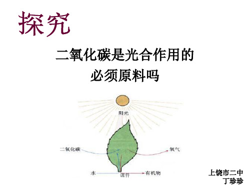 归纳初中生物创新实验说课.ppt